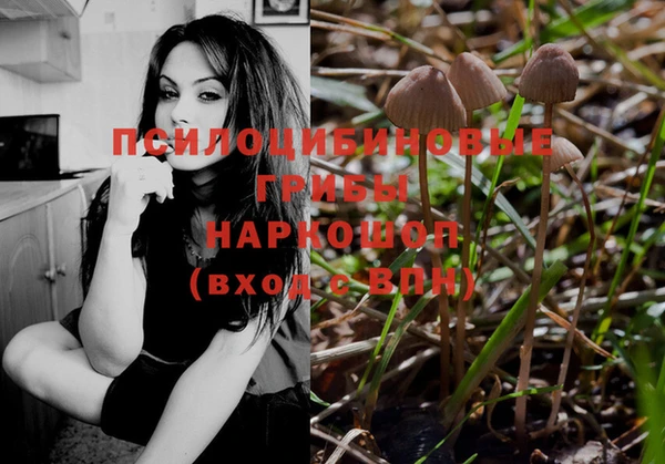 таблы Нея