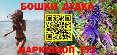 сатива Бузулук