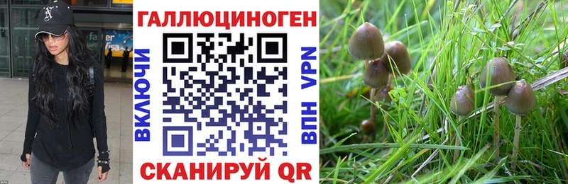 Псилоцибиновые грибы Psilocybe Семилуки